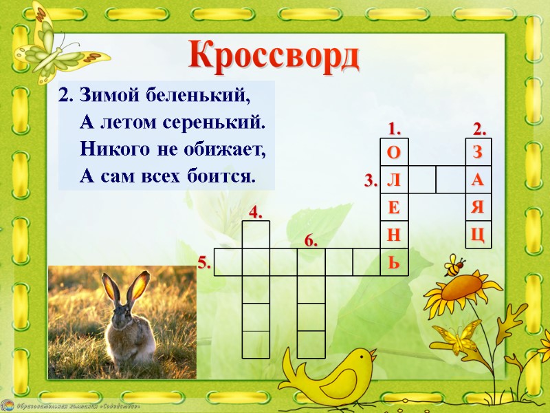 2. Зимой беленький,     А летом серенький.    